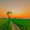 NATURE BEAUTY