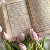 qura5n2