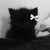 elik_5o9