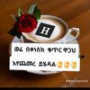 user74852577573934