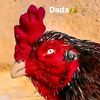 abid.malik4770