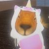 aj._474