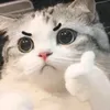 Ba rít ta hơi quậy🤡