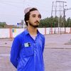 wali.muhammad5462