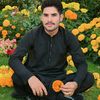mujahidkamal777
