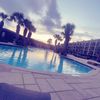 defnotlayla66