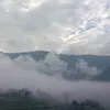 samiksha.rai533