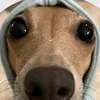 tom.hejtmnek5