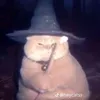 gianangelogonzale1