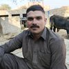 rizwanjuttsab2