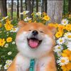 animalfriends11