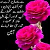 user61610226283367