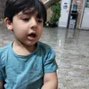 alawy.kareem
