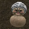 _c.hh.ip