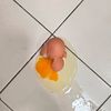 egggg000222