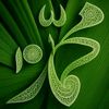 user1426133831010