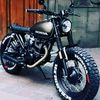 mohammat510