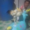 soe.gyi9570