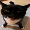 kyal_12340