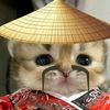 lusyy_.meong