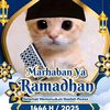 _doni272