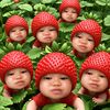 hahahahaha_1314