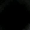 lupp_andin