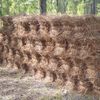 torres.pinestraw
