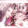 limviks3
