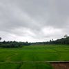 karambiabalap18