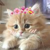 nour.mohamed8637