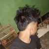 ham.___11