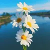 kim___nhat123