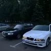 voevodkin17
