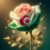 mahdi.daif
