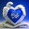 user46505926375771