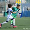 mody43579
