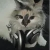 krispychiken26