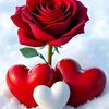 user32030037249006
