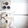 luna.furyy