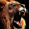 francisco.douglas657