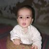 zakir.king462