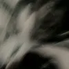 xz001361