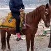 chicosolito01