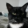 dustin_g4201