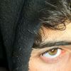 user915481911