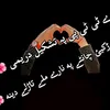 mustafakhan5864