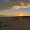 charlotte_135783