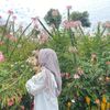 anggelia