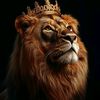 shen.king11.11